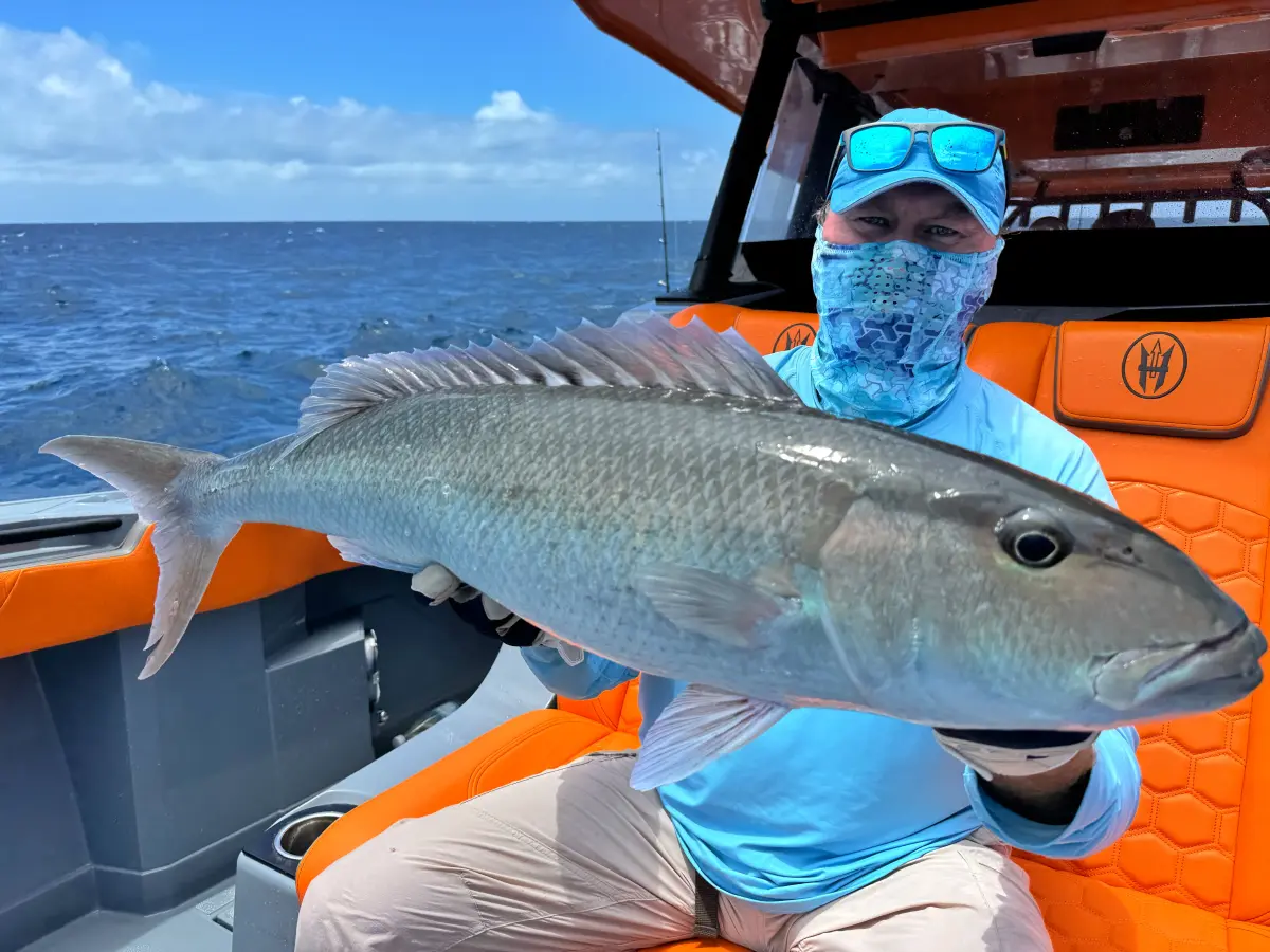 Тур Амирантес. Вариант 1