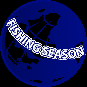 Катушка BAITRUNNER ST 10000 RA