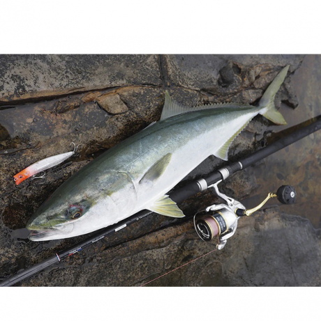 Без имени-4.jpg