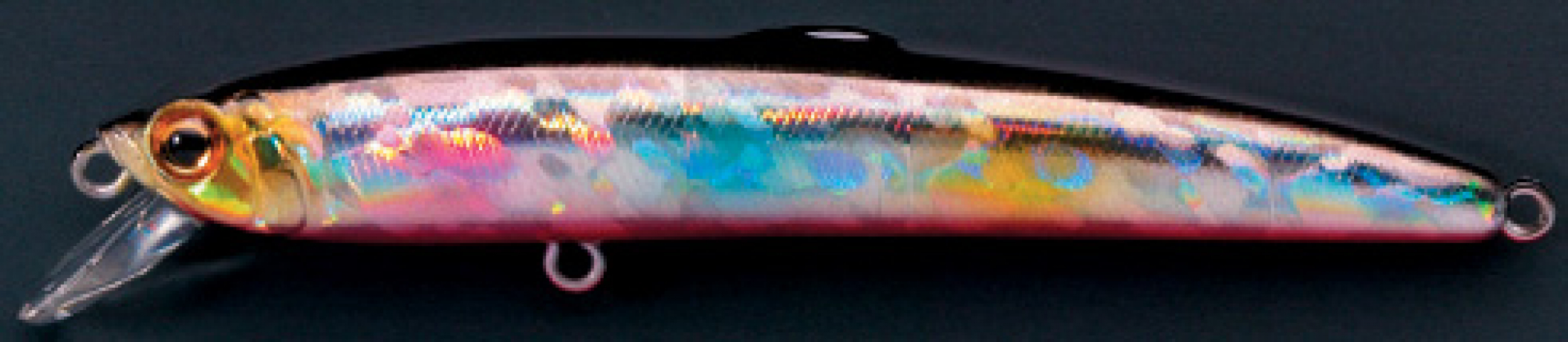 Saruna 80,95,110,125 F 36BSM.jpg